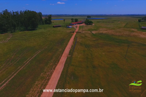 800 Hectares.00_06_37_07.Quadro028_faa2fd29864f5060369acbe4d2ccd6ef6d71c2d9.png